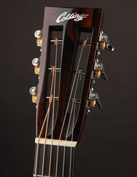 Collings DS2HA Adirondack