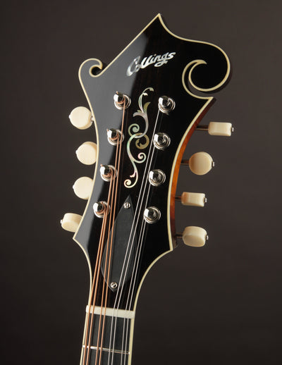 Collings MF5 Sunburst
