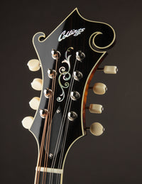 Close-up of a mandolin headstock with 'Collings' branding on a dark background