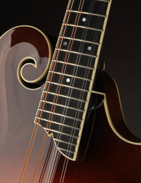 Close-up of a mandolin neck and scroll on a dark background
