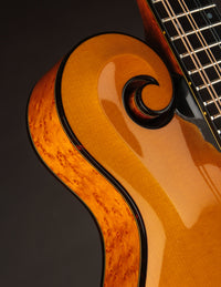 Collings MF5 Varnish Birdseye Maple Italian Spruce Honey Amber