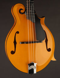 Collings MF5 Varnish Birdseye Maple Italian Spruce Honey Amber