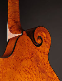 Collings MF5 Varnish Birdseye Maple Italian Spruce Honey Amber