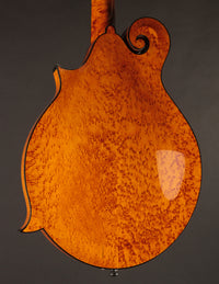 Collings MF5 Varnish Birdseye Maple Italian Spruce Honey Amber