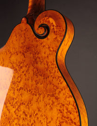 Collings MF5 Varnish Birdseye Maple Italian Spruce Honey Amber