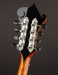 Collings MF5 Varnish Birdseye Maple Italian Spruce Honey Amber