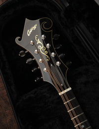 Collings MF5 Varnish Birdseye Maple Italian Spruce Honey Amber