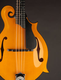 Collings MF5 Varnish Birdseye Maple Italian Spruce Honey Amber