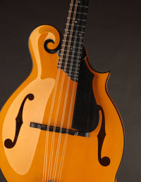 Collings MF5 Varnish Birdseye Maple Italian Spruce Honey Amber