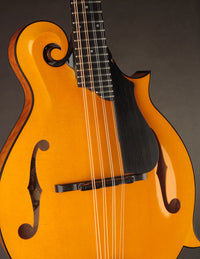Collings MF5 Varnish Birdseye Maple Italian Spruce Honey Amber