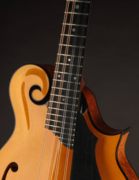 Collings MF5 Varnish Birdseye Maple Italian Spruce Honey Amber