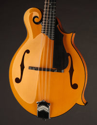 Collings MF5 Varnish Birdseye Maple Italian Spruce Honey Amber