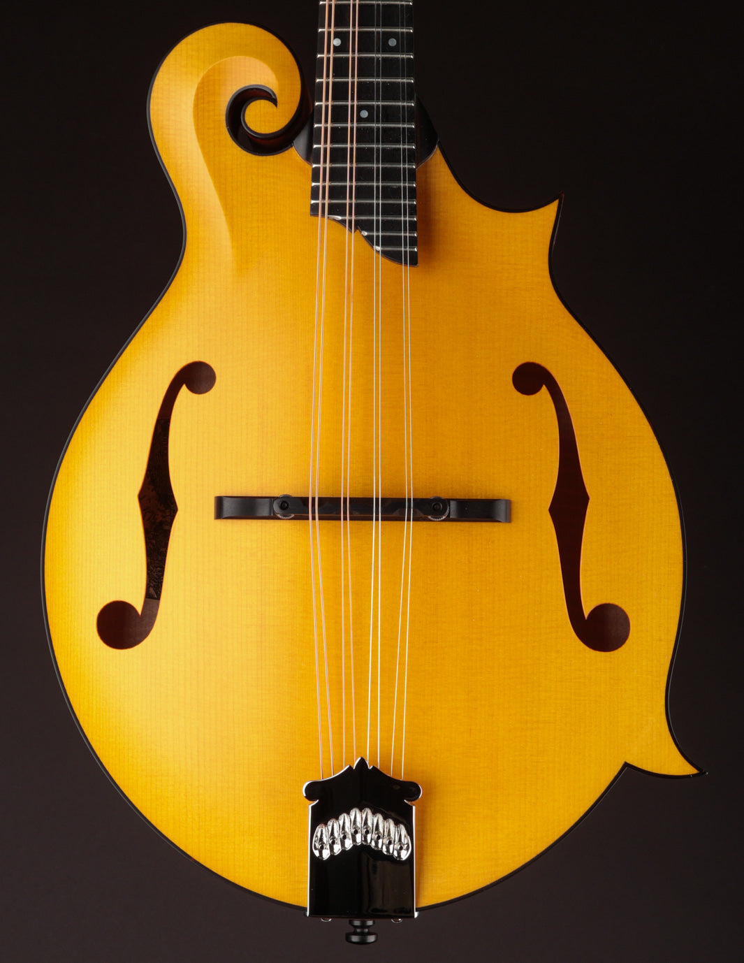 Collings MF Honey Amber