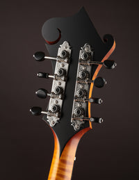Collings MF Honey Amber