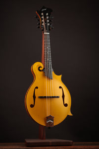 Collings MF Honey Amber