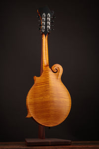 Collings MF Honey Amber
