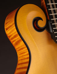 Collings MF Honey Amber
