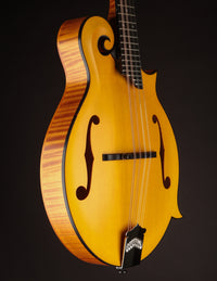 Collings MF Honey Amber