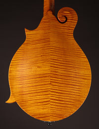Collings MF Honey Amber