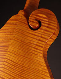 Collings MF Honey Amber