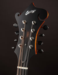 Collings MF Honey Amber