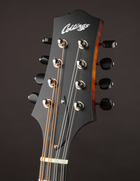 Collings MT Sunburst