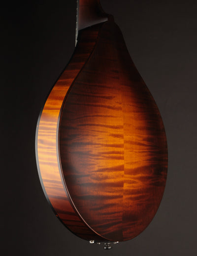 Collings MT Sunburst