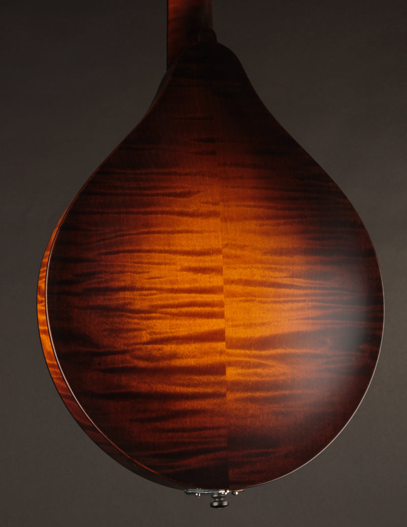 Collings MT Sunburst