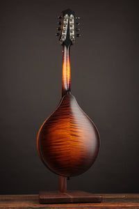 Collings MT Sunburst