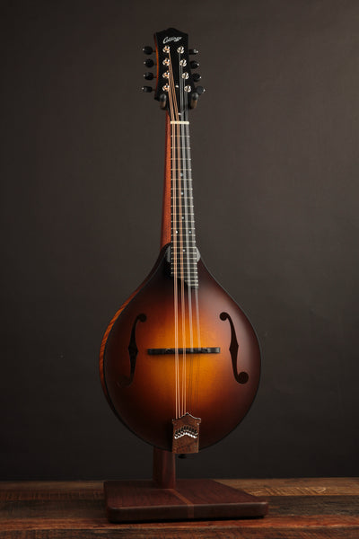 Collings MT Sunburst