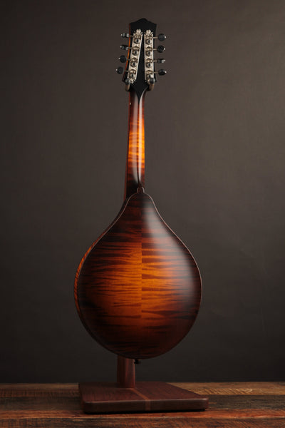 Collings MT Sunburst