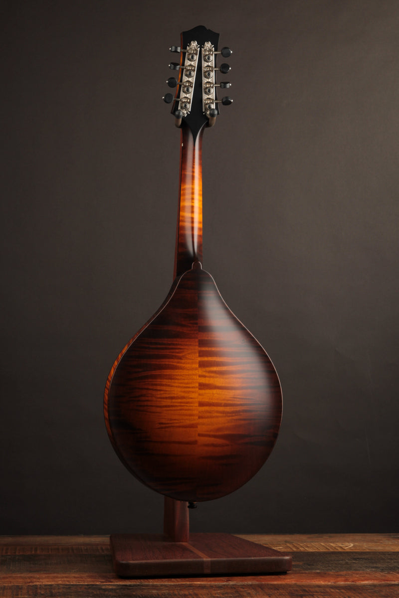 Collings MT Sunburst