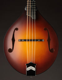 Collings MT Sunburst