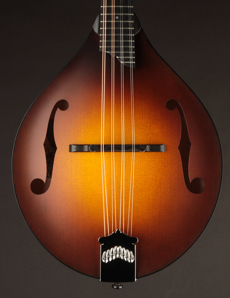 Collings MT Sunburst