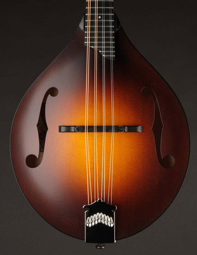 Collings MT Sunburst