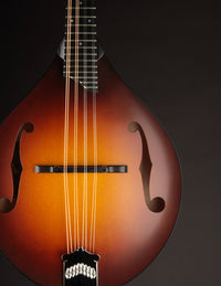 Collings MT Sunburst