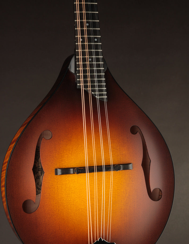 Collings MT Sunburst