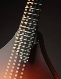 Collings MT Sunburst