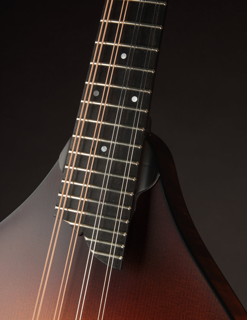 Collings MT Sunburst