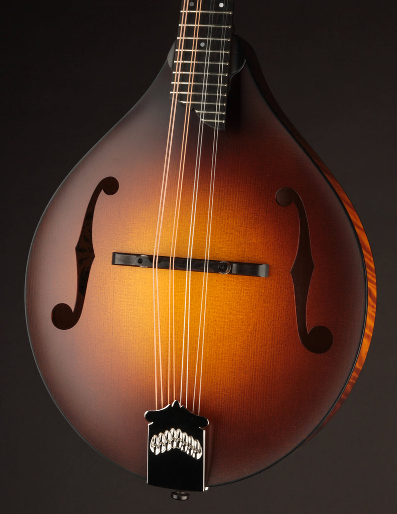 Collings MT Sunburst