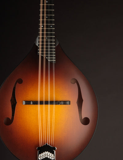 Collings MT Sunburst