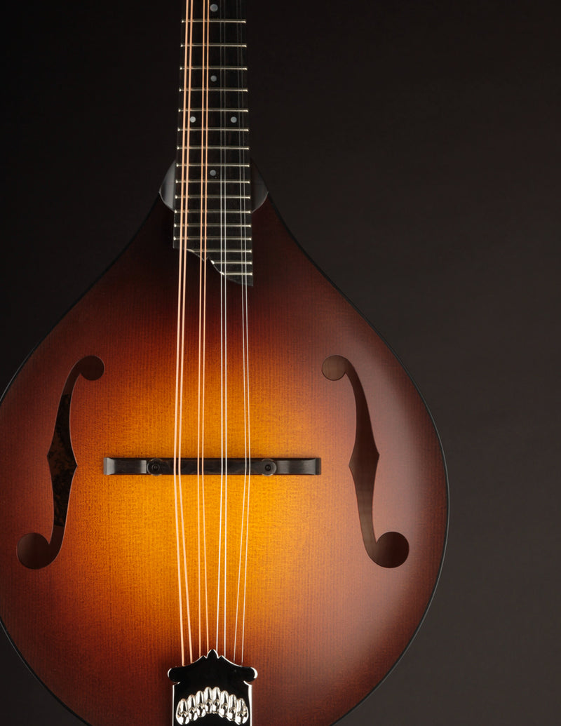 Collings MT Sunburst
