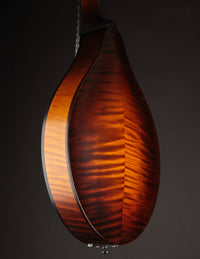 Collings MT Sunburst