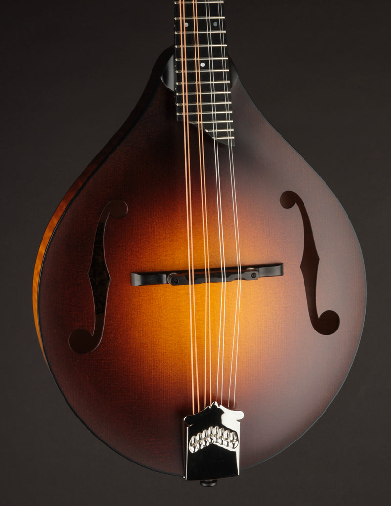 Collings MT Sunburst