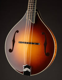 Collings MT2 Mandola Sunburst