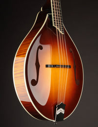 Collings MT2 Mandola Sunburst