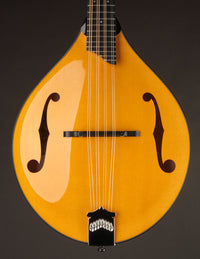 Collings MT2 Mandola Honey Amber