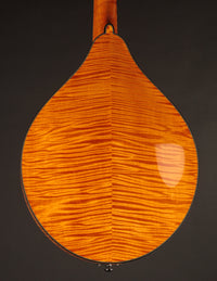 Collings MT2 Mandola Honey Amber