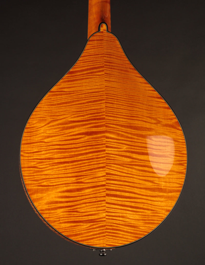 Collings MT2 Mandola Honey Amber