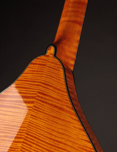 Collings MT2 Mandola Honey Amber